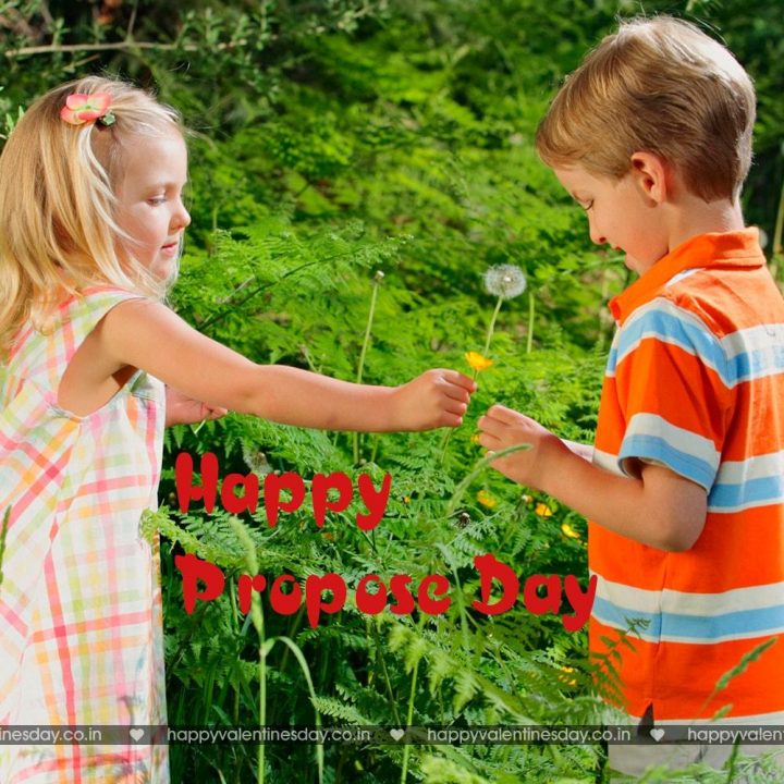 Propose Day – funny ecards