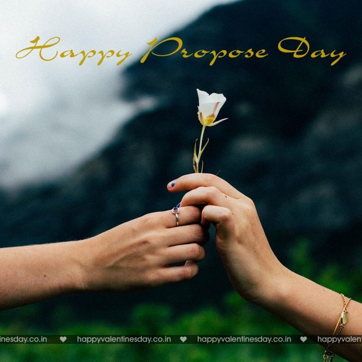 Propose Day – download happy valentines day pictures