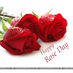Rose Day – happy valentines day cute