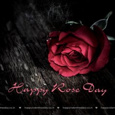 Rose Day – free mothers day cards