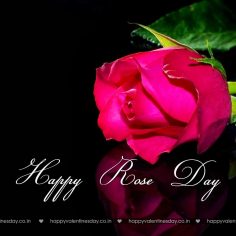 Rose Day – animated ecards