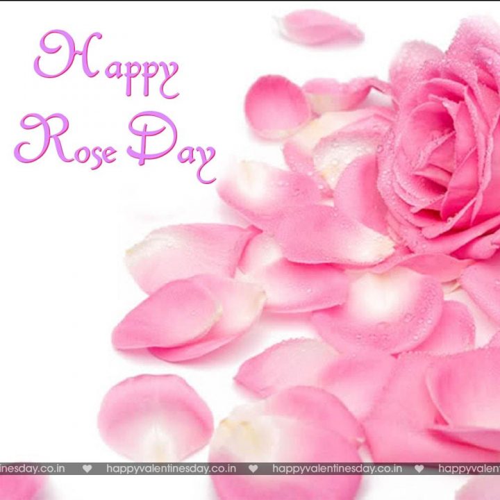 Rose Day – funny ecards