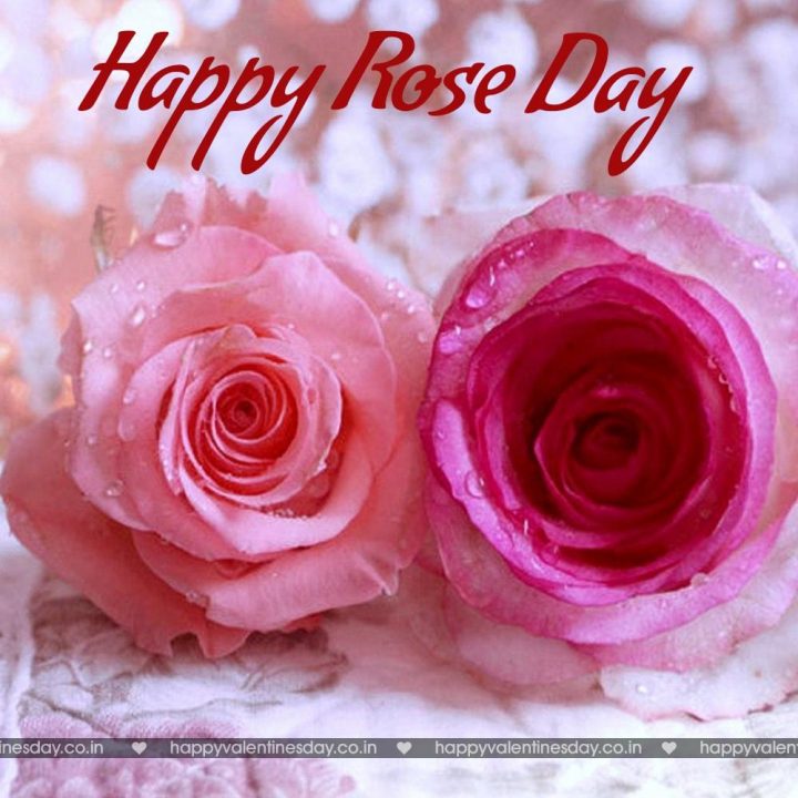 Rose Day – valentines e cards