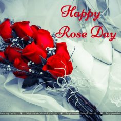 Rose Day – free online ecards