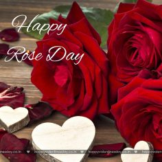 Rose Day – free valentines cards
