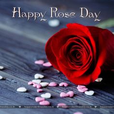 Rose Day – free thank you cards