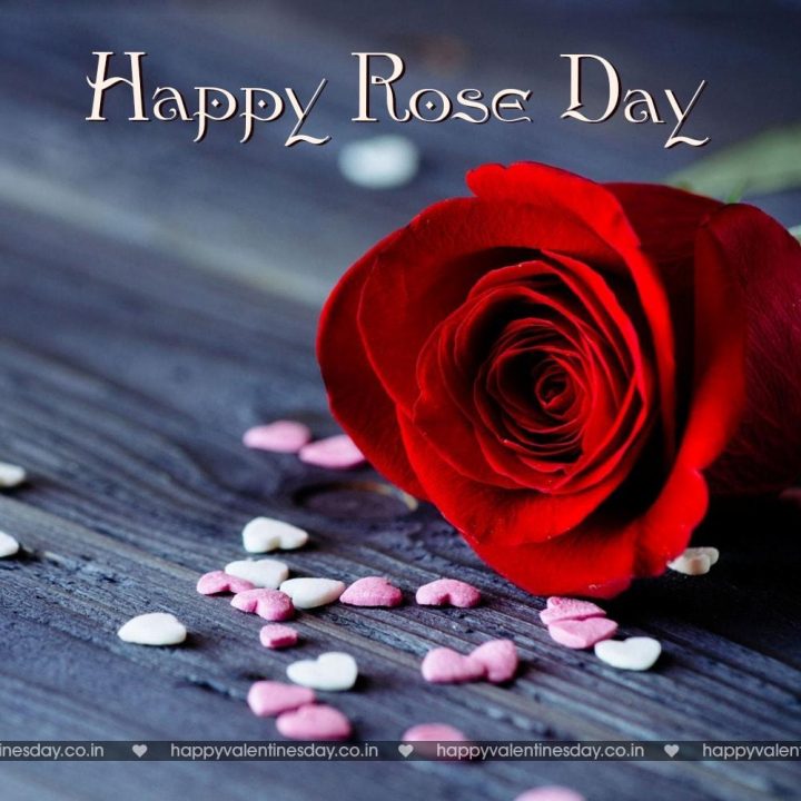 Rose Day – free thank you cards