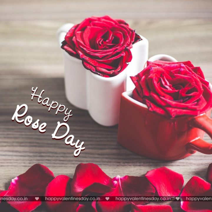 Rose Day – happy valentines card