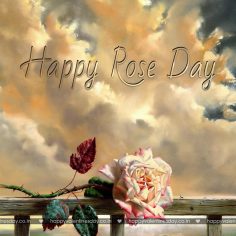 Rose Day – happy valentines day boyfriend