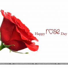 Rose Day – free cards online