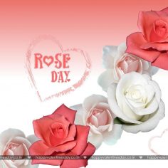 Rose Day – photos of valentines day