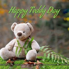 Teddy Day – happy valentines day beautiful