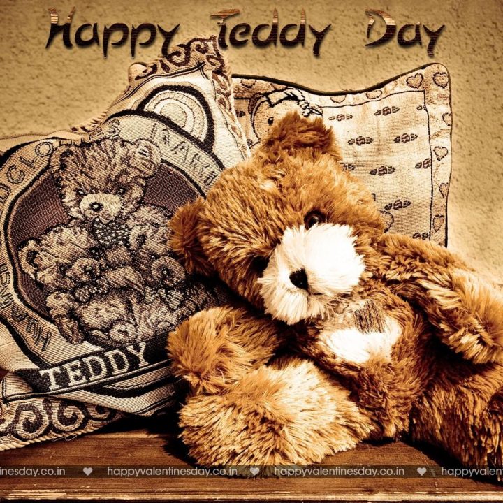 Teddy Day – happy valentine day pictures gallery
